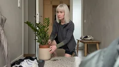 Zamioculcas am Hauseingang: warum sie im Feng Shui so beliebt ist – und worauf es wirklich ankommt