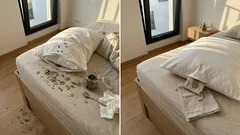 Lorbeer im oder unter dem Kissen: So wird das Feng-Shui-Abendritual alltagstauglich