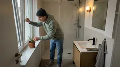 Ein Topf Rosmarin am Badfenster – warum das erstaunlich gut klappt